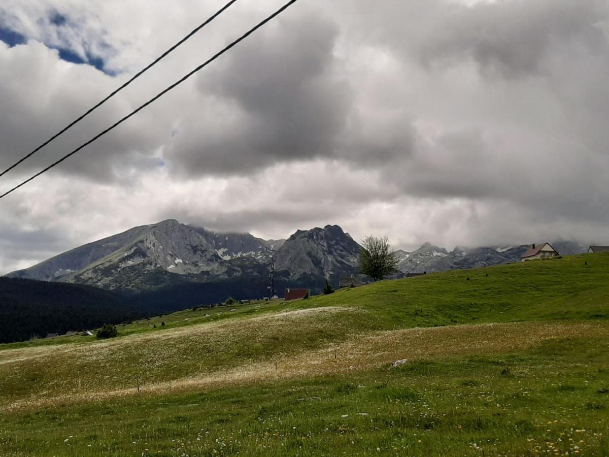 Vila Aleksandar Vila Žabljak Exterior foto