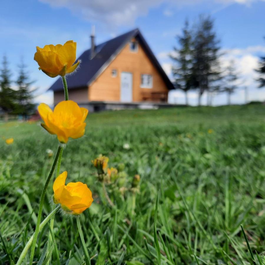 Vila Aleksandar Vila Žabljak Exterior foto