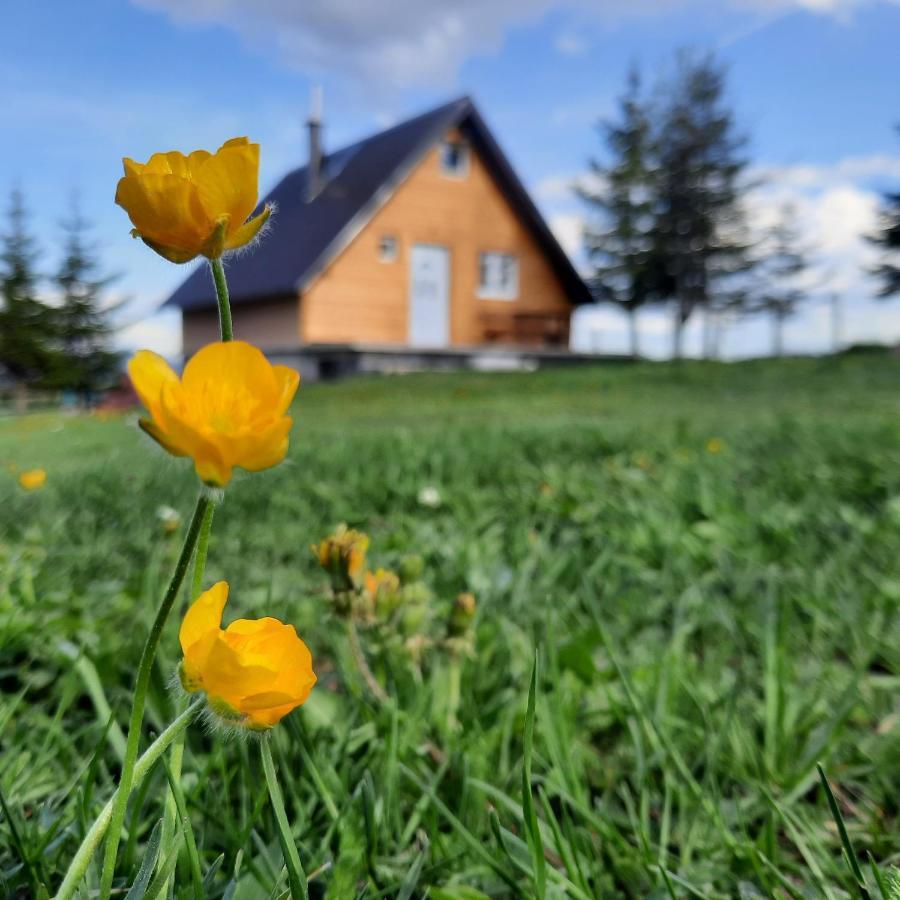 Vila Aleksandar Žabljak Exterior foto